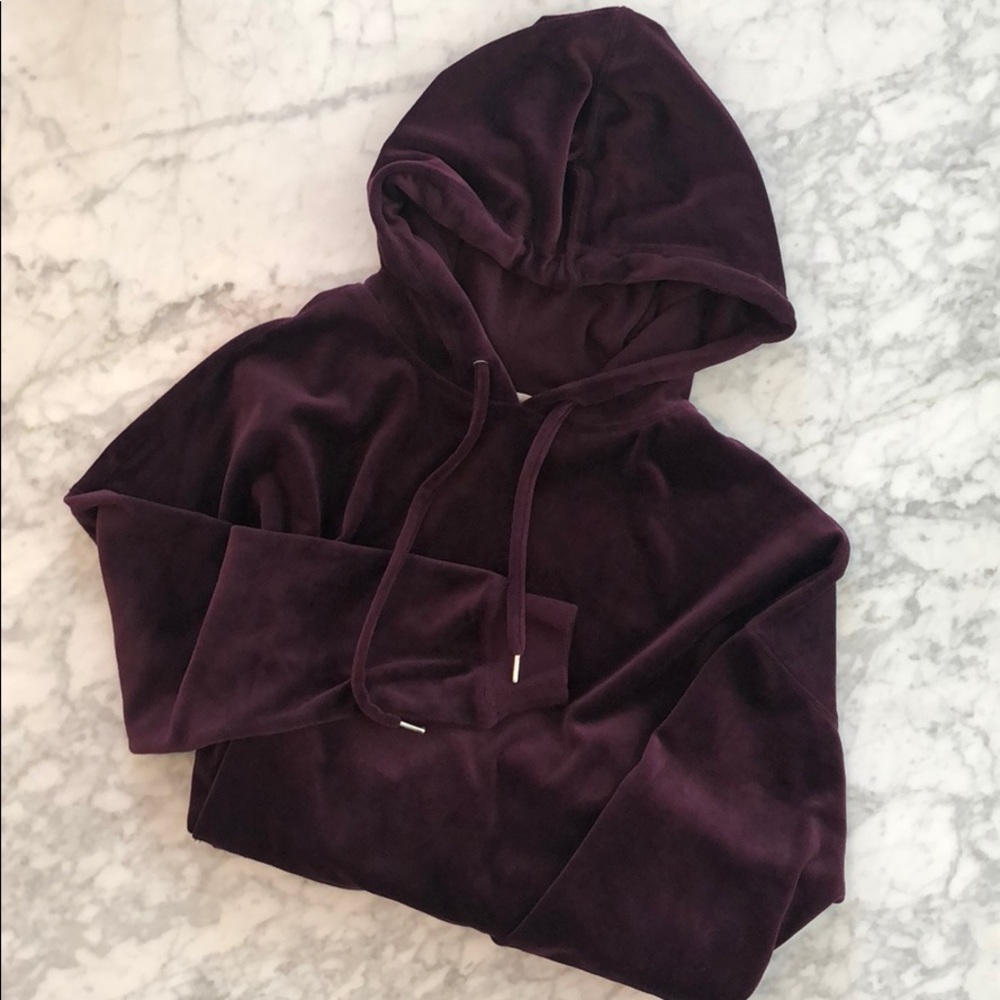 H&M Velour Hoodie in Eggplant